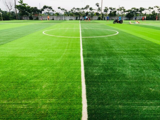 Sân Cỏ Bóng Đá Tiếng Anh Là Gì: Giải Mã Các Thuật Ngữ Chuẩn Xác