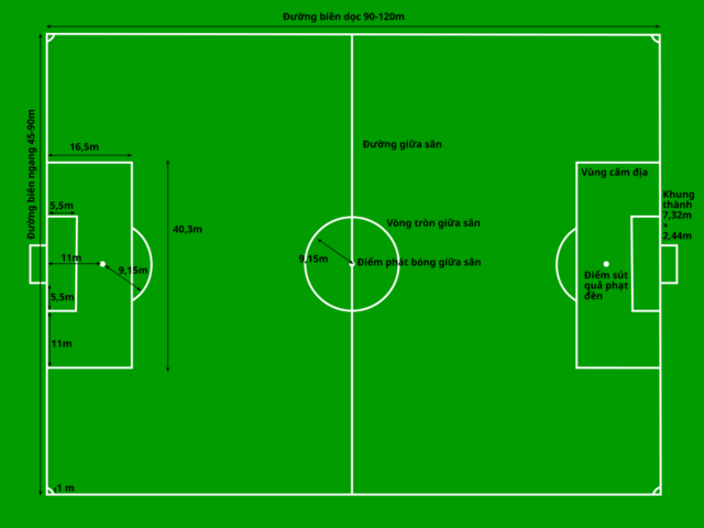 Sân Đá Bóng Tiếng Anh Là Gì: Giải Mã Thuật Ngữ Và Các Loại Sân