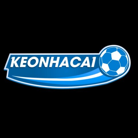 Kèo Tài Xỉu 2 3 4 Là Sao: Giải Mã Chi Tiết Cho Người Mới Bắt Đầu