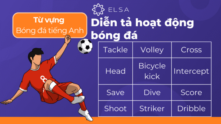 Các hoạt động trong bóng đá bằng tiếng Anh, từ góc nhìn của hội cổ động viên