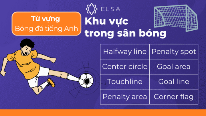Khu vực sân bóng và các thuật ngữ liên quan, thông tin cho hội cổ động viên