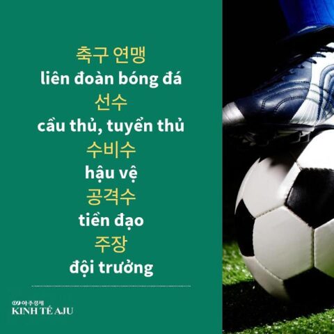 Bóng Đá Tiếng Hàn Là Gì: Từ Vựng Chuyên Sâu & Giải Thích Chi Tiết