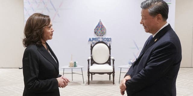 Điểm Tin Các Giải Bóng Đá Nổi Bật Năm 2019: Sắp Tới Có Giải Bóng Đá Gì 2019 Đã Khép Lại?