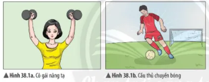 vật lý 6 đá hụt quả bóng là lực gì - ví dụ lực tiếp xúc trong thể thao