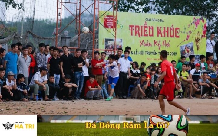 Đặc Trưng của Đá Bóng Râm