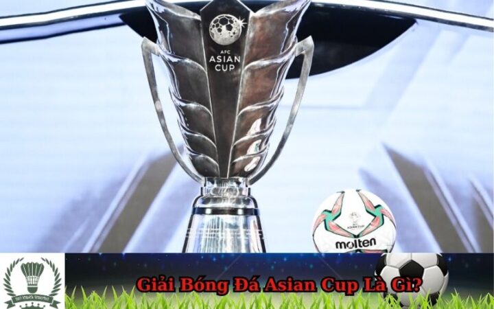 Giải Bóng Đá Asian Cup Là Gì? Lịch Sử, Thể Thức Và Tầm Quan Trọng
