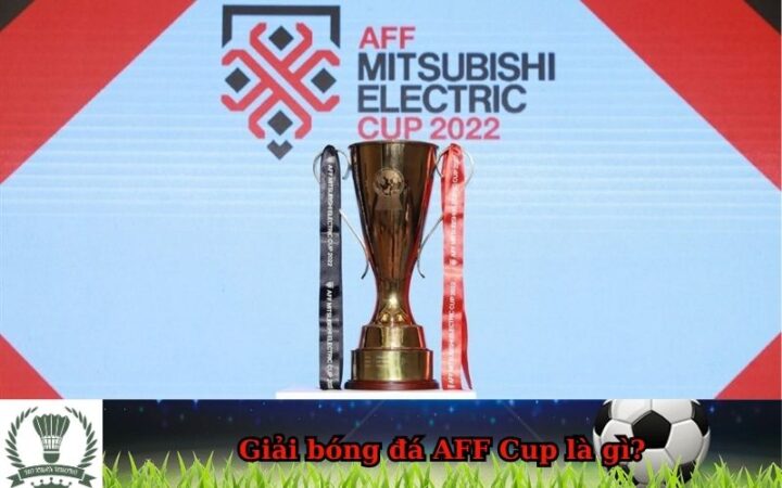 Giải bóng đá AFF Cup là gì, khái niệm tổng quan về giải vô địch bóng đá Đông Nam Á
