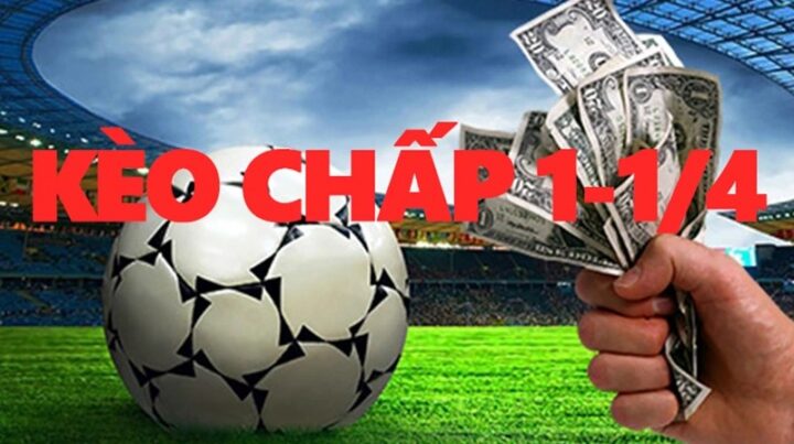 Tỷ Lệ Kèo 0 1 4 Là Sao? Giải Mã Kèo Chấp Đồng Banh Nửa Trái Tỷ Lệ Kèo 0 1 4 Là Sao? Giải Mã Kèo Chấp Đồng Banh Nửa Trái