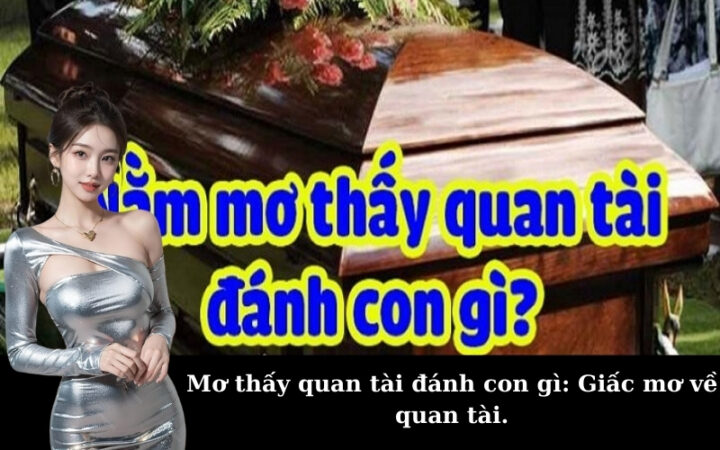 Mơ Thấy Chơi Đá Bóng Đánh Con Gì: Giải Mã May Mắn Từ Giấc Mơ