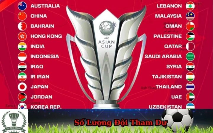Số lượng đội tham dự giải bóng đá Asian Cup là gì? Quy định và điều kiện chi tiết