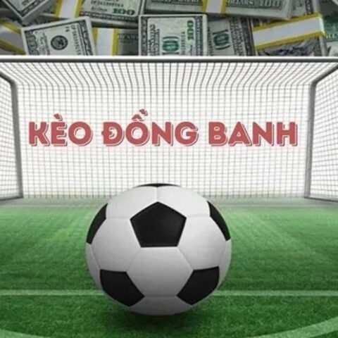 Wagf Bóng Đá Là Gì? Giải Mã Toàn Diện Về Kèo Đồng Banh Và Chấp Hòa