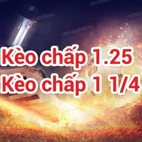 Kèo 1.25 Là Sao? Giải Mã Kèo Chấp 1 1/4 Chuẩn Xác Nhất Kèo 1.25 Là Sao? Giải Mã Kèo Chấp 1 1/4 Chuẩn Xác Nhất