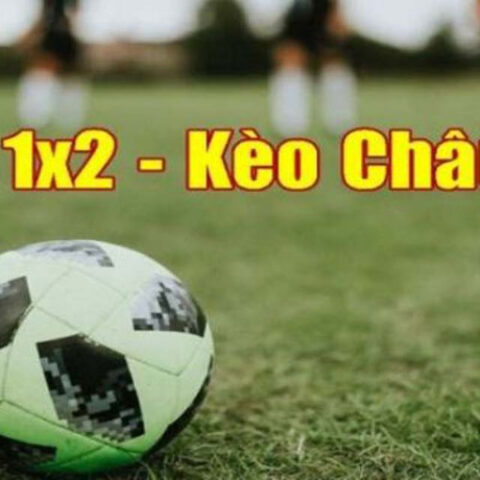 Kèo 1x2 Là Sao? Giải Mã Chi Tiết Kèo Châu Âu Từ A Đến Z Kèo 1x2 Là Sao? Giải Mã Chi Tiết Kèo Châu Âu Từ A Đến Z
