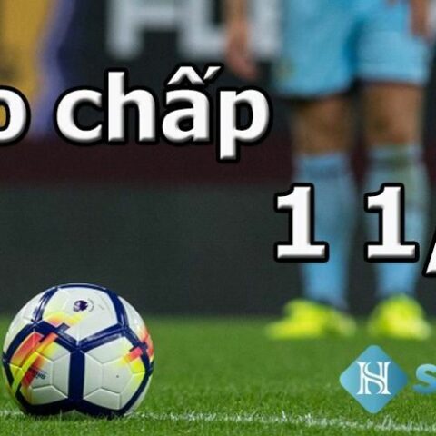 Kèo Bóng Đá Chấp 1 4 Là Như Thế Nào? Giải Thích Tỷ Lệ Chi Tiết Nhất Kèo Bóng Đá Chấp 1 4 Là Như Thế Nào? Giải Thích Tỷ Lệ Chi Tiết Nhất