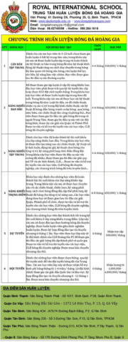 Hình ảnh trái bóng đá trên sân cỏ, biểu tượng của môn thể thao vua