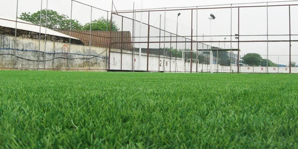 Đặc điểm sân cỏ Hard Ground (HG) với cỏ cao và nền đất cứng