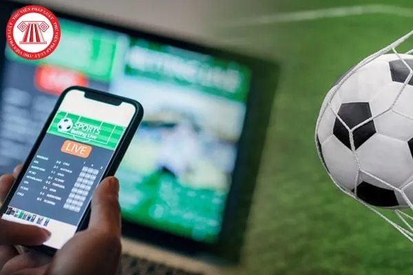 Hình ảnh minh họa các hình thức cá độ bóng đá qua mạng và rủi ro pháp lý liên quan