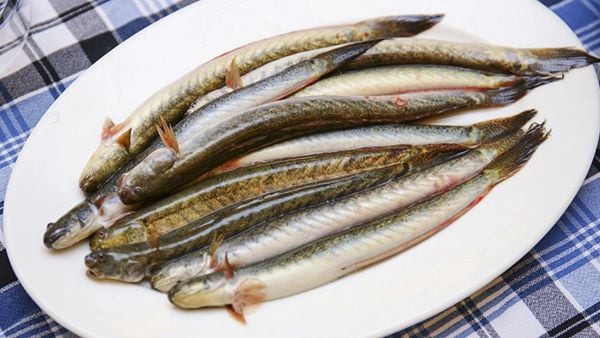 Kèo Lựa Là Ăn Bao Nhiêu? Hướng Dẫn Chi Tiết Từ Soi Kèo Hôm Nay