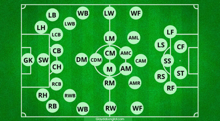 các vị trí trong bóng đá là gì: Giải Mã Vai Trò Và Tầm Quan Trọng Tuyệt Đối