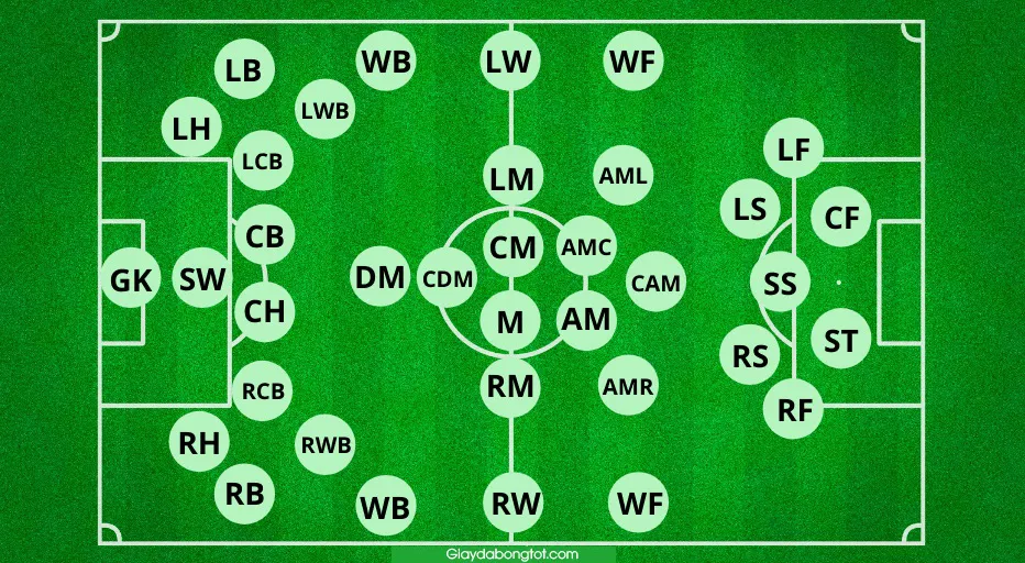Đội Hình Tiêu Biểu Với Các Vị Trí Forward