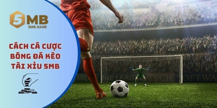 Cá Độ Bóng Đá Tài Xỉu Là Gì: Giải Mã Kèo O/U Toàn Diện Cá Độ Bóng Đá Tài Xỉu Là Gì: Giải Mã Kèo O/U Toàn Diện