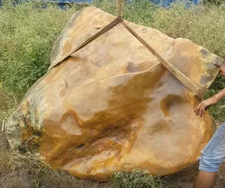 Cách đánh bóng đá cảnh