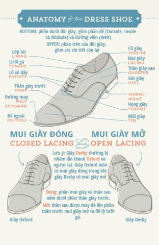 Giày Đá Bóng Cổ Cao Có Tác Dụng Gì? Phân Tích Chuyên Sâu