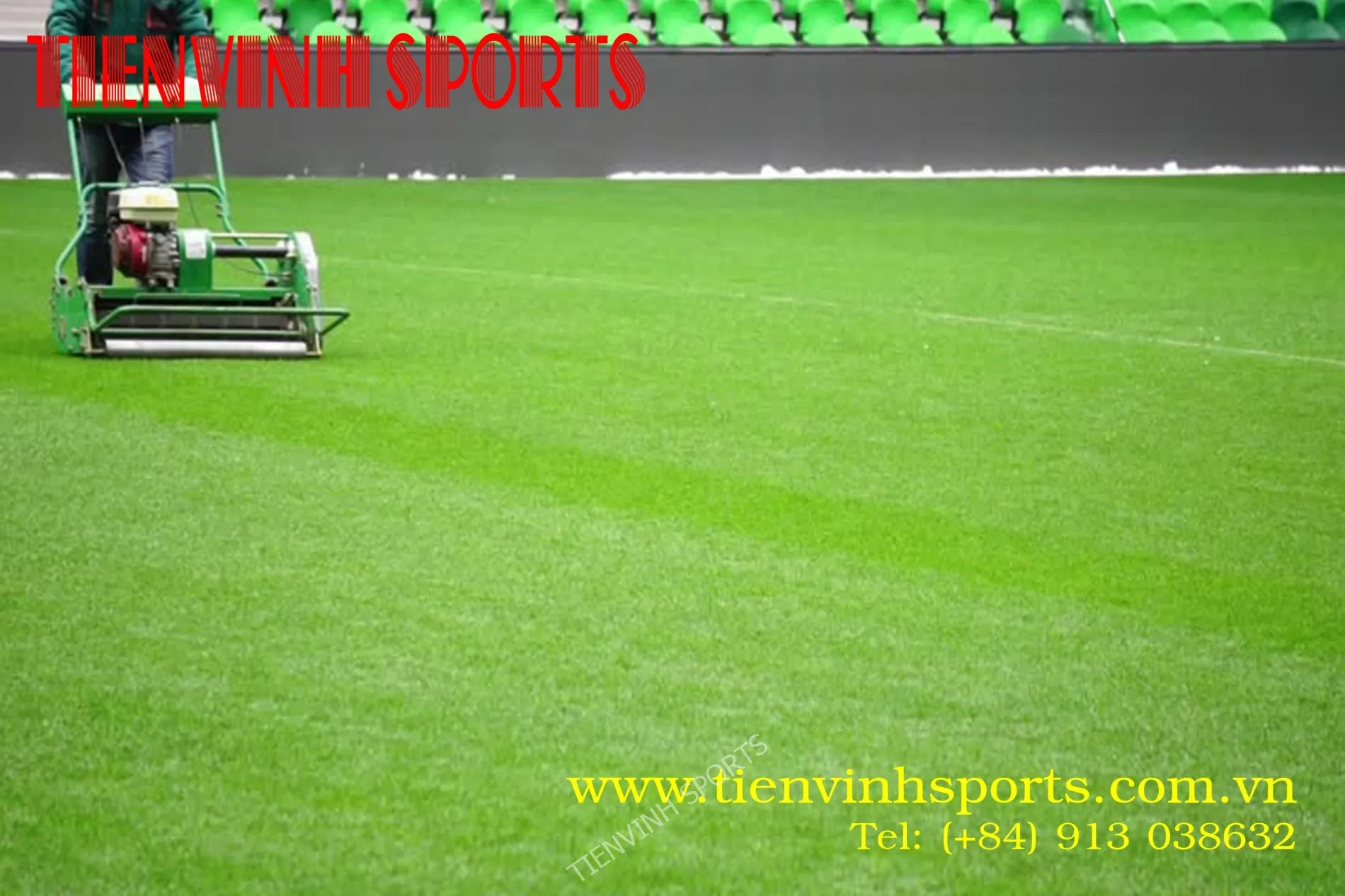 cỏ bermuda sân bóng