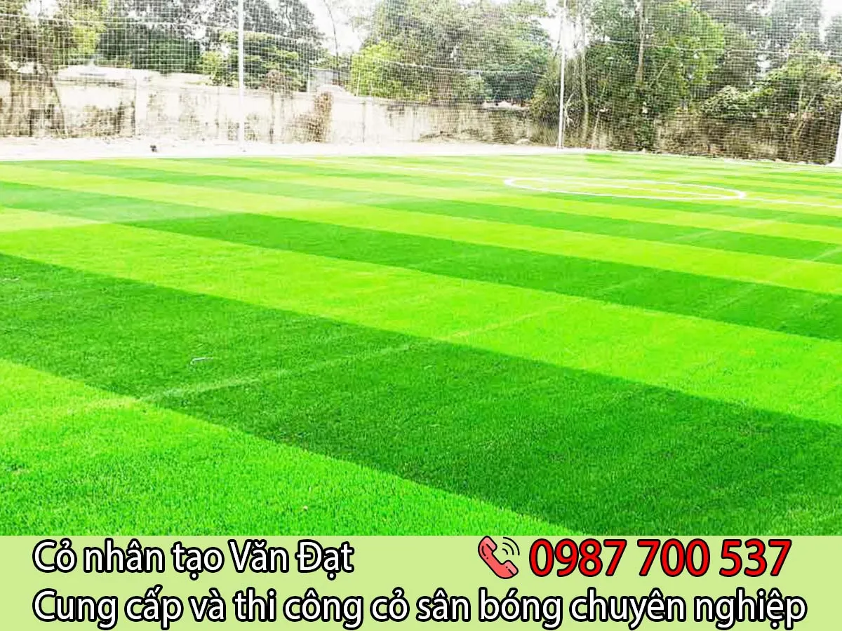 Cỏ nhân tạo sân bóng đá là gì, cận cảnh sợi cỏ xanh mượt