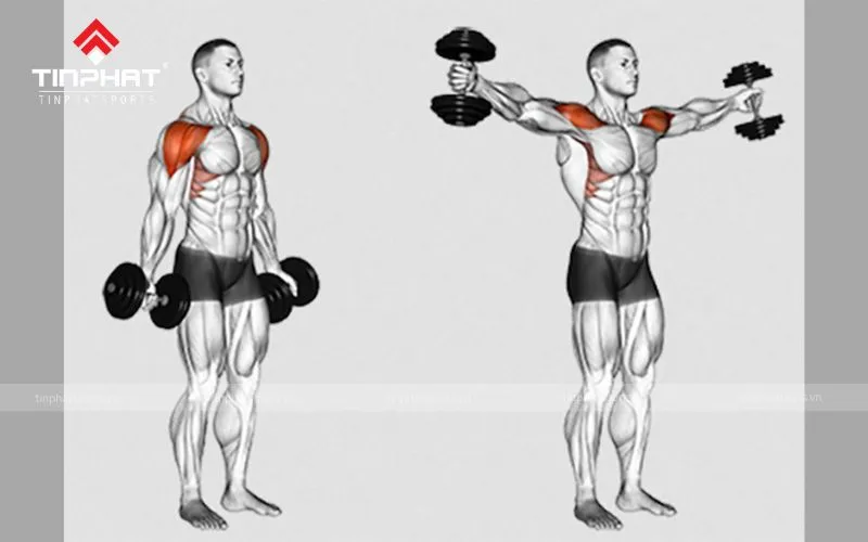 Tăng cường sức mạnh cơ bắp giúp đá bóng hiệu quả hơn