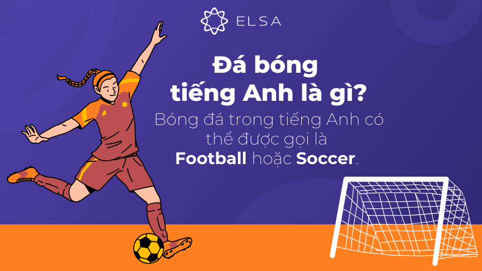 Hội cổ động viên bóng đá