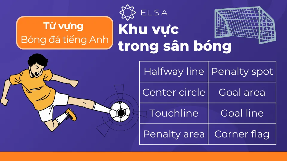 Hình ảnh các khu vực và cấu trúc sân bóng đá với tên gọi tiếng Anh, hỗ trợ việc hiểu các thuật ngữ về chơi đá bóng đọc tiếng Anh là gì