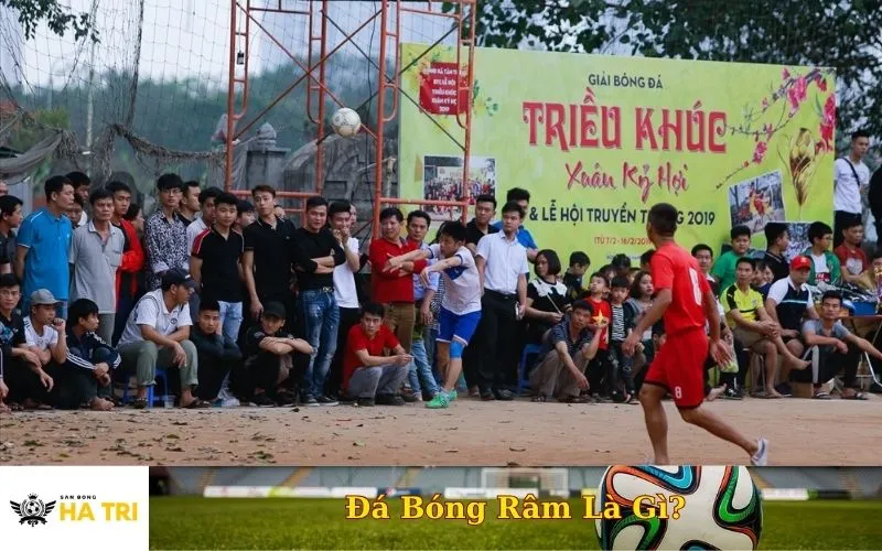 Những cầu thủ không chuyên đá bóng râm trên sân cỏ tự nhiên, với khung thành đơn giản, minh họa đặc trưng của bóng đá phong trào.