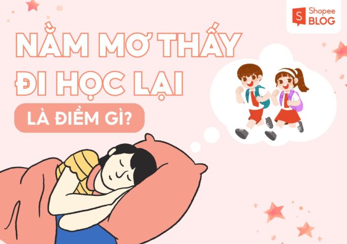 Mơ Đá Bóng Đánh Số Gì: Giải Mã Điềm Báo May Mắn Và Con Số Chuẩn