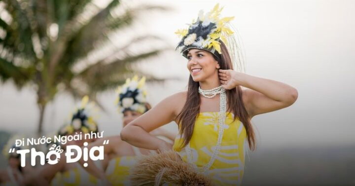 Đi Bão Bóng Đá Là Gì: Văn Hóa Cổ Vũ Và Những Góc Nhìn Từ Chuyên Gia