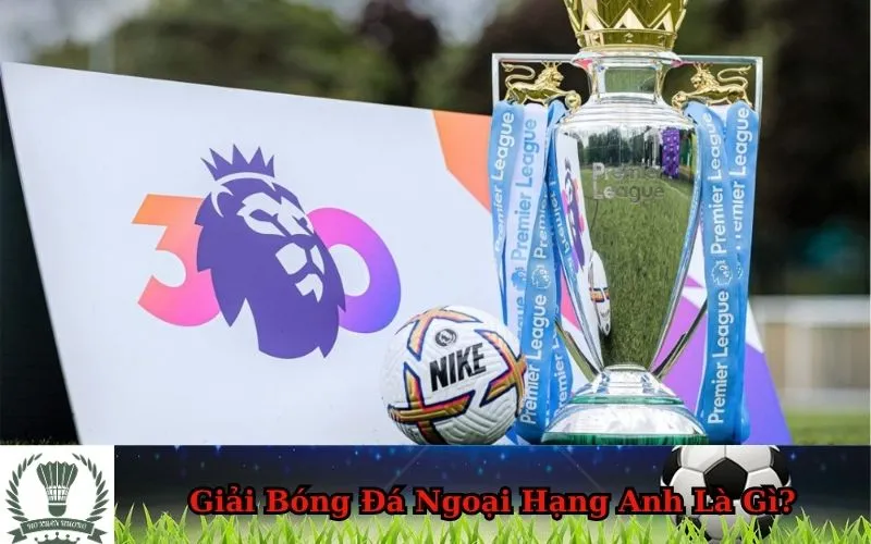 Hình ảnh tổng quan về Giải Bóng Đá Ngoại Hạng Anh, biểu tượng của bóng đá đỉnh cao