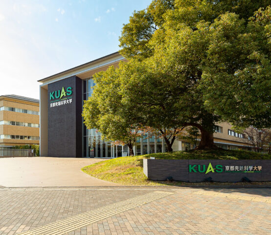 Kinh Doanh In Áo Bóng Đá Cần Những Gì Để Thành Công Vượt Trội