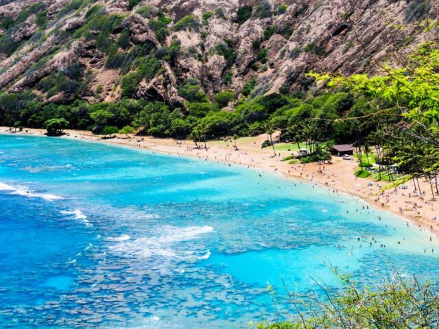 Những Người Chơi Bóng Đá Thích Search Gì Trên Google: Khám Phá Nhu Cầu Tìm Kiếm Toàn Diện