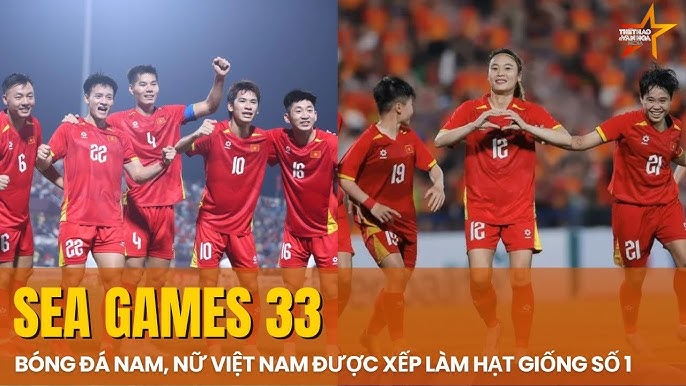 Seed Trong Bóng Đá Là Gì? Giải Mã Hạt Giống Quyết Định Vận Mệnh Giải Đấu