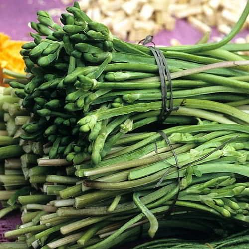 Kèo Nèo Tiếng Anh Là Gì: Giải Mã Thuật Ngữ Cá Độ Bóng Đá Chuyên Nghiệp