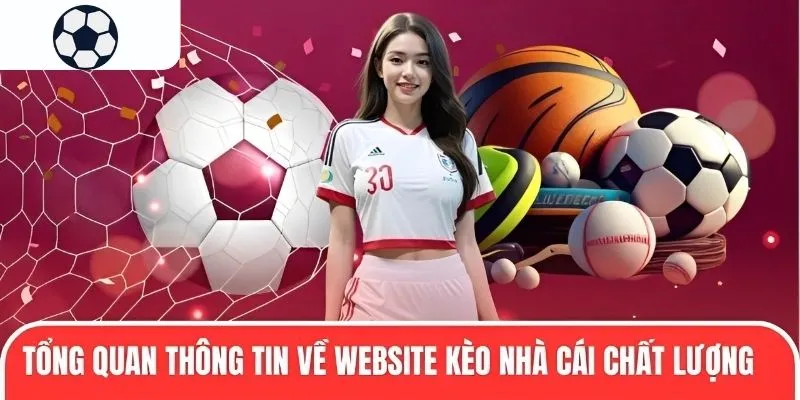 Tổng quan thông tin về website soi kèo bóng đá chất lượng