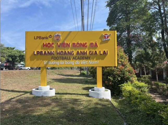 Học Viện Bóng Đá Là Gì: Nền Tảng Ươm Mầm Tài Năng Trẻ Việt Nam
