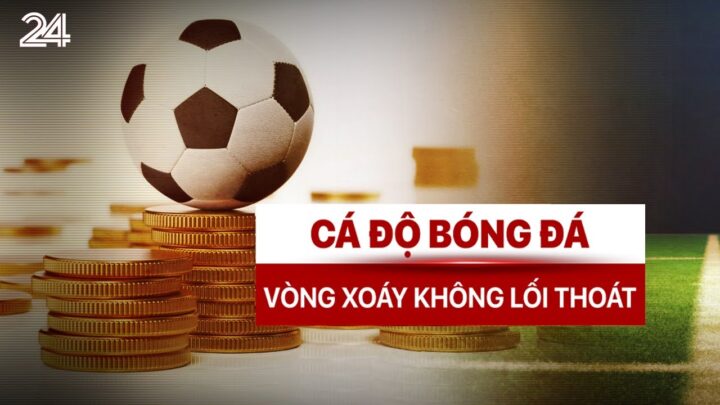 Trong Cá Độ Bóng Đá Là Gì? Toàn Tập Thuật Ngữ Cần Biết Cho Người Chơi