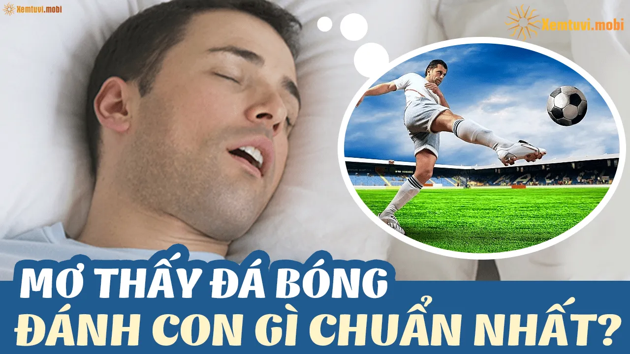 Mơ thấy đá bóng đánh con gì: Bảng tổng hợp các con số đề xuất từ chuyên gia