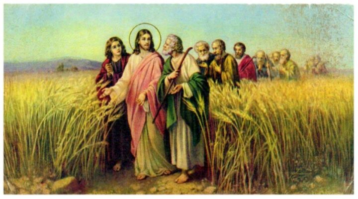 Các Bài Tập Nâng Cao Kỹ Năng Xử Lý Bóng Bằng Gầm Giày Hiệu Quả Nhất Các Bài Tập Nâng Cao Kỹ Năng Xử Lý Bóng Bằng Gầm Giày Hiệu Quả Nhất