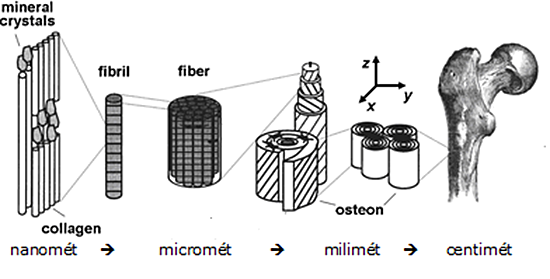 Những Người Chơi Bóng Đá Thích Search Gì Trên Google: Khám Phá Nhu Cầu Tìm Kiếm Toàn Diện