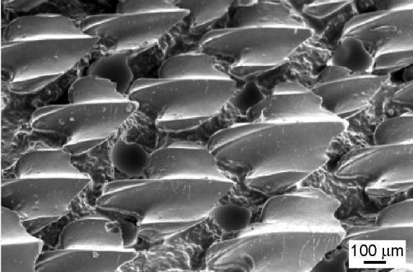 Những Người Chơi Bóng Đá Thích Search Gì Trên Google: Khám Phá Nhu Cầu Tìm Kiếm Toàn Diện