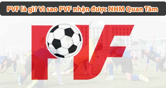 PVF là gì? Mà khiến giới bóng đá Việt Nam