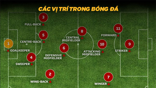 Squaring Trong Đá Bóng Nghĩ Là Gì? Giải Mã Thuật Ngữ Chuyên Sâu
