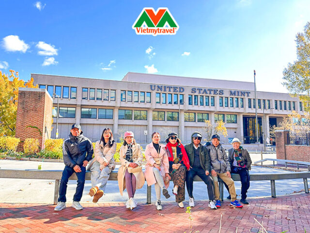 Đi Bão Bóng Đá Là Gì: Văn Hóa Cổ Vũ Và Những Góc Nhìn Từ Chuyên Gia